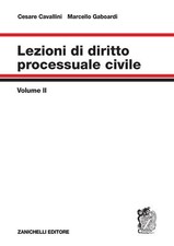 Lezioni di diritto processuale