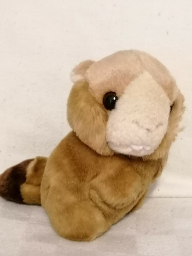 Peluche castoro beaver - castoro, castor