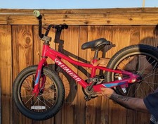 Bicicletta Specializzata