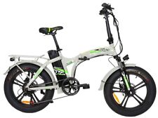 BICICLETTA ELETTRICA 750W FAT