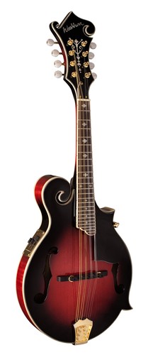 Washburn mandolino corde - mandolino,