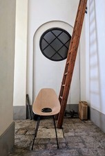 SEDIA IN LEGNO CURVATO MEDEA