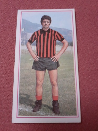 Figurina calciatori panini - figurina,