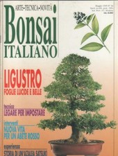 Bonsai Italiano. n. 34