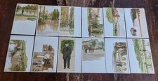 SERIE COMPLETA 12 CARTOLINE