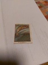 Ferrero Figurina Anni 50/60 Caccia Subacquea N. 84 Capodoglio