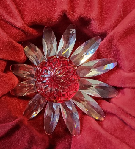 Regalo rinnovo swarovski 2000 - regalo,