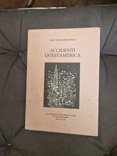 Accidenti Quest'America Luigi