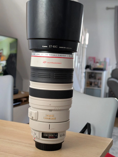 Canon 100 400 5 - 100-400, f/4.5-5.6l