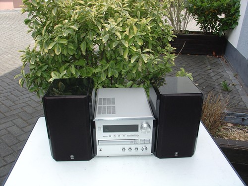 Yamaha natural soun crx - natural,