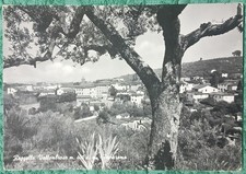 Reggello Vallombrosa m. 400