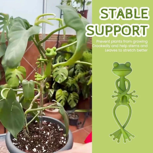 5pz supporto per - per, piante