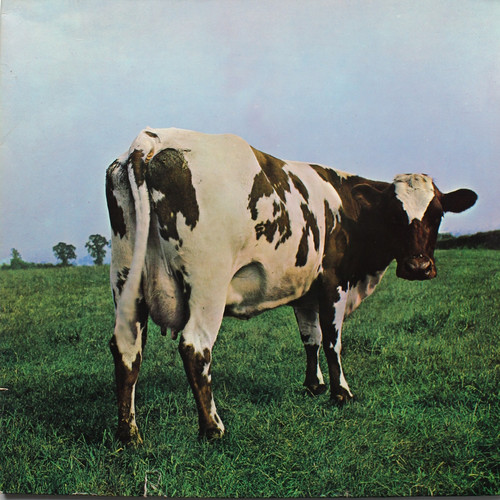 Pink floyd atom - floyd,