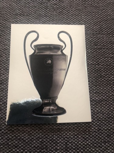Figurina panini champions - figurina,
