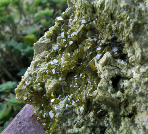 Minerali cristalli epidoto - ,