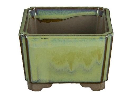 Vaso per bonsai - , giapponese