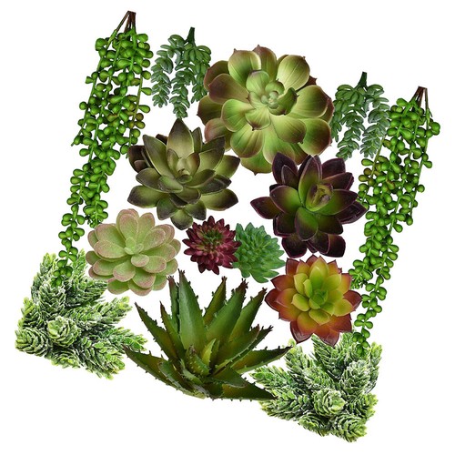 Pcs succulente artificiali - succulente,