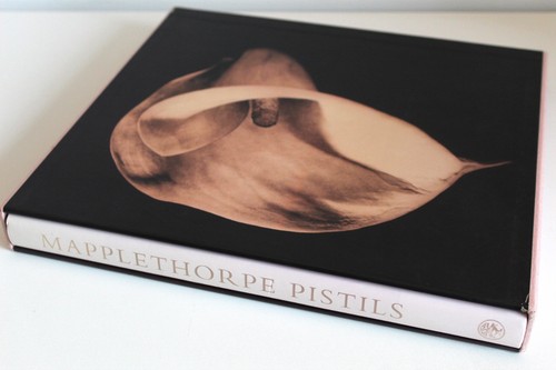 Pistils robert mapplethorpe - robert,