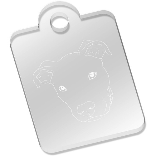 Pit bull terrier - bull, terrier'