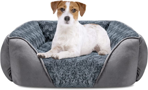 Cuccia cane interno - cuccia,
