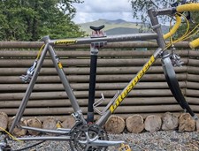 Bici da strada classica 57 cm (L) LITESPEED USA titanio opzione TELAIO/FORCELLA/STELO/CUFFIA