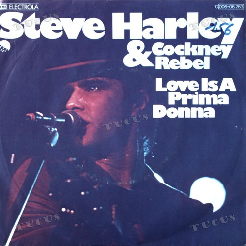 Steve harley cockney - steve,