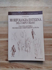 Corso di disegno Morfologia