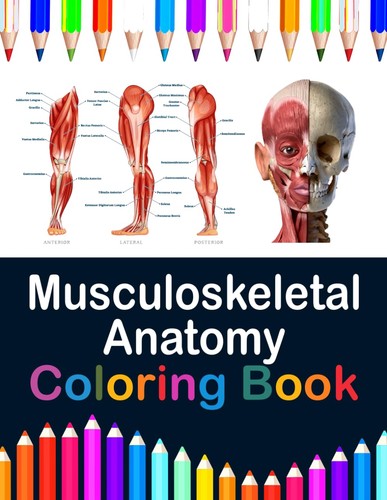 Musculoskeletal anatomy - musculoskeletal,