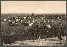 VERCELLI GATTINARA 73 CARTOLINA CAMPIONE  VIGNETI VINO