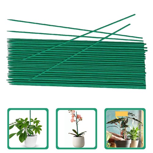 Pezzi pali supporto piante - 40,