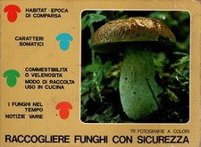 Libro Raccogliere funghi con