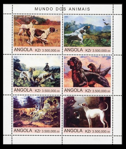 Gun dogs pointer - dogs, english