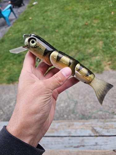 Pat perch swimbait - perch, 7"