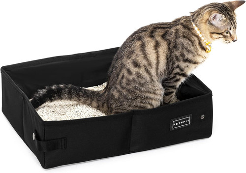 Lettiera per gatti - lettiera,