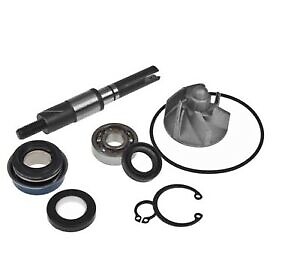 Kit revisione pompa acqua - revisione,