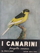 Vaccari i canarini - vaccari,