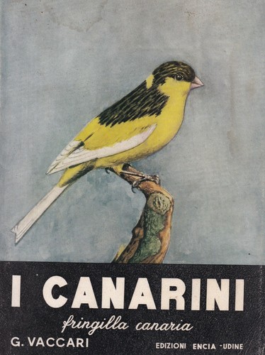 Vaccari i canarini - vaccari,