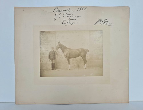 Grande fotografia equestre - fotografia,