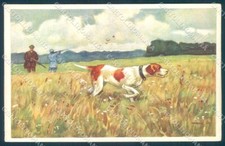 Animali Metlicovitz Puntatore Cane Caccia Degami cartolina TW1055