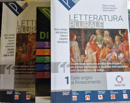 Letteratura plurale - letteratura,