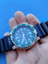 citizen promaster