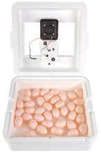 Still Air Incubator For