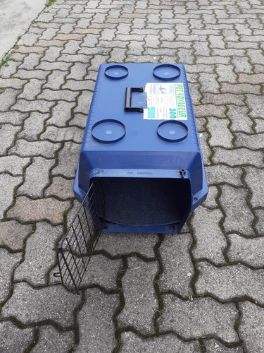 Trasportino per cane media - cane, di