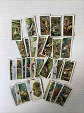 FIGURINE 1937 JOHN PLAYER & SONS SIGARETTE BIRDS E THIER YOUNG RARE E ANTICHE