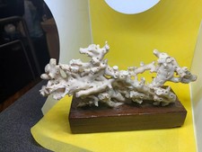 Corallo Bianco del mar Rosso -Vintage Lung. cm.21 h 14 Larg. 6  - peso: Kg 0,500