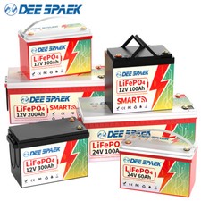 LiFePO4 Batteria 12V 24V 100Ah