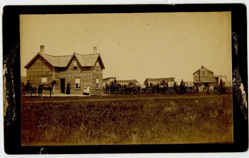 Mrs adenett farm horse - ?,