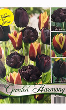 BULBI AUTUNNALI COLLEZIONE 15