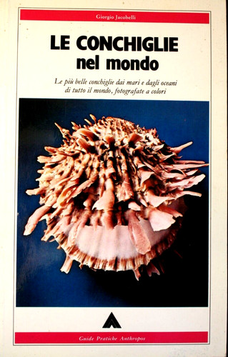 Conchiglie nel mondo - conchiglie,