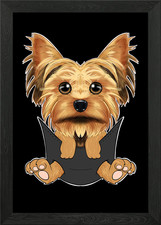 Yorkshire Terrier cucciolo